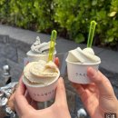 남이섬 더 휴 | 밀린 일기 6월 [성장 캠프, 빵빵런, 팬텀 뮤지컬, 대전 여행, 남이섬]