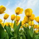 제주한의원 이미지