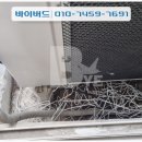 비둘기세탁소 이미지