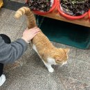 제물량로232번길 | 블챌해도 될카요...?4 (부제:동인천 여행기)