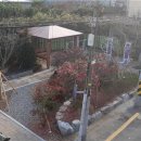 (주)쌈지 네이버블로그