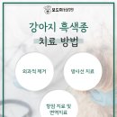 석적동물병원 이미지