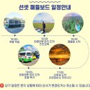 아루샵