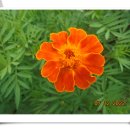 여주시 종합관광안내소 이미지