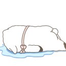 콤보하우스 네이버블로그