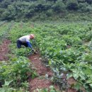 미옥농장 이미지