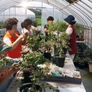 백석2리 이미지