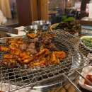 곰장어와아나고 이미지