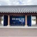 경상북도청 동락관 | 경북바이오생명엑스포 경북바이오 다양한 체험과 관람후기