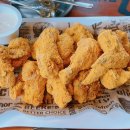 놀면묘하냥 고양이카페 이미지