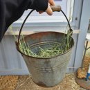 다송목장 | [홍천 소노벨 비발디파크] 하늘양떼목장 먹이주기 체험 / 곤돌라 탑승 힐링 여행 후기