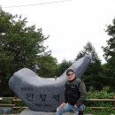 김삿갓면-41 이미지