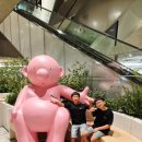 인제합기도 | 청주 더현대커넥트 주차비 아이랑 지플립7 사진후기