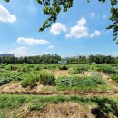 원뜰농장 이미지