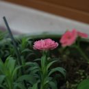 열미리보건진료소 이미지