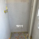 배방읍 연화로 | 아산 연화마을8단지 탄성코트로 거주 중 곰팡이 제거