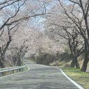 스위티모텔 이미지