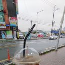 하삼동어