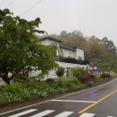 섬나라하얀집 이미지