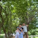 새동네목장 | [충남 예산] 아이와 가볼만한 곳ㅣ아그로랜드 태신목장 (무료 트랙터 강추)