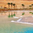 사해(死海, Dead Sea) 이미지
