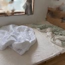 용수차경돌품 | 패밀리 침대 추천 (범퍼침대 비교, 저상형 매트리스 가성비 조합, 1년 후기)