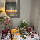 케이디펫 이미지