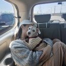 로맨틱큐브 B 이미지