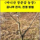 장준농장 이미지