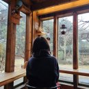 더반스위트 | [제주도] 구좌읍 잘생긴 고양이 3마리가 있는 카페_'헛간 더반스위트' 방문 후기