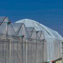 정은농장 이미지