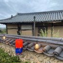 2025 금당야행 이미지