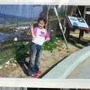 온니포마미 | 2022.06