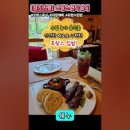 쉐누 이미지