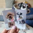 몽몽살롱 이미지