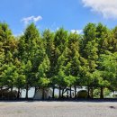 청풍호반 캠핑장 이미지