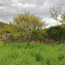 강진군 마량보건지소 이미지