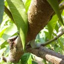 상연농장 이미지