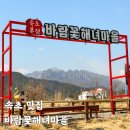 속초 한화리조트 맛집 울산바위 전망 애견동반 가능 바람꽃해녀마을 속초 본점