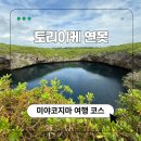 연못 속 풍경 | 오키나와 미야코지마 공항 근처 가볼만한곳, 토리이케 연못