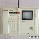 그린비디오 네이버블로그