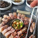 판포리뷰