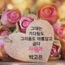 안의꽃사랑 이미지