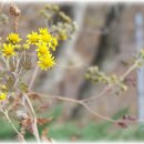 봄과가을이 이미지