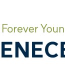 헬리오스주식회사 이미지