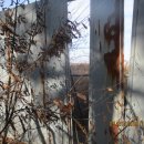 다락2리 이미지