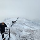 식어도 맛있는 아재커피 이미지