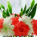 기분좋은하루 이미지