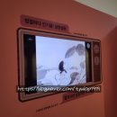 소금&설탕 | 울산 박물관 특별기획전, 단짠단짠 울산의 소금과 설탕 관람 후기...