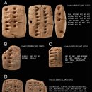 석기시대 이미지